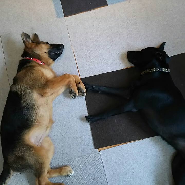 0936058e 5c62 48cf 9a7b c6aa68482374