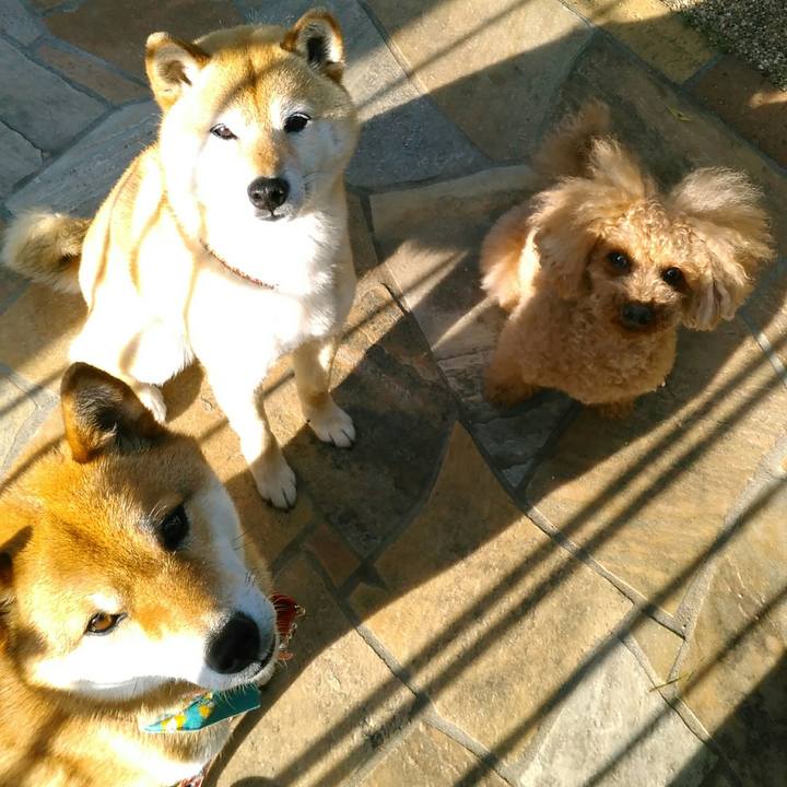 09362d11 6f1c 49bb 9d37 30ebde171c25