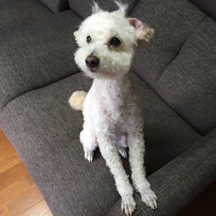 0936a0ea 16d9 4e72 8b15 55a8a5657fe5