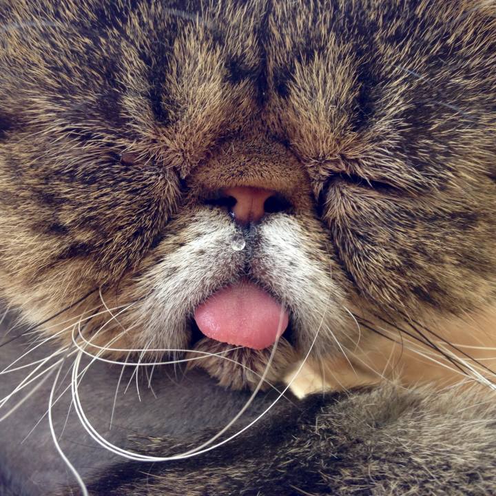 0936d7a1 2f3f 4ada 8737 62f7faa21f33