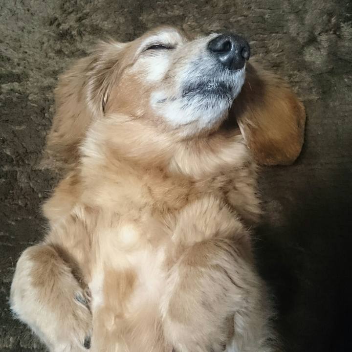 09370f52 8993 4e49 a93c 6522c268b085