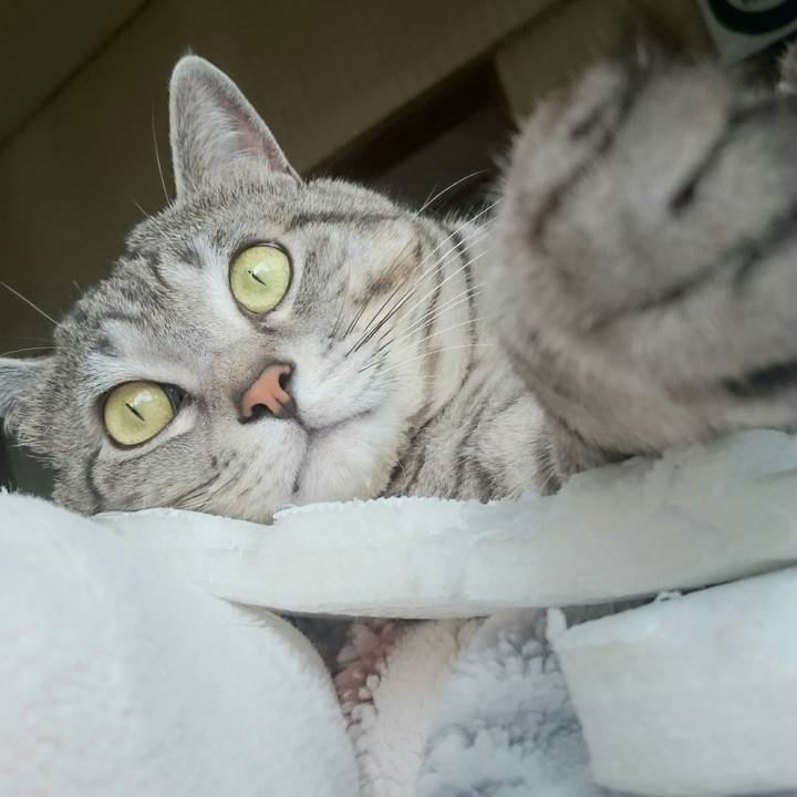 093740f3 bd54 4503 8d8b f58aeb8e929e