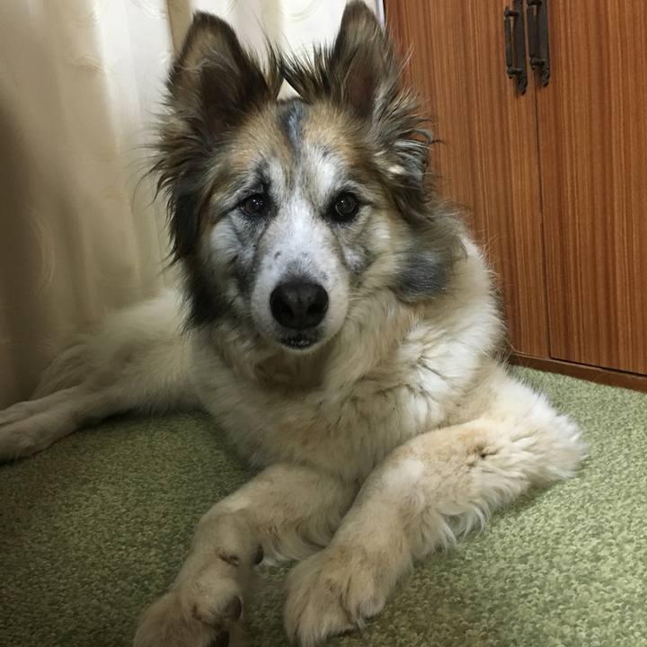 0937c10d e353 47e6 94af 07c7e69c1722