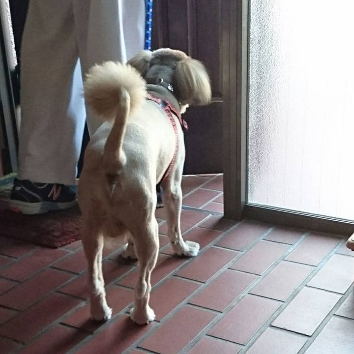 0937e3b8 8fef 4fb0 a0b5 478680408852