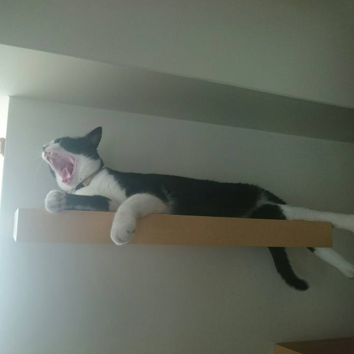 0937f2a5 42c4 4597 804e 3e2b1e3e6ef2