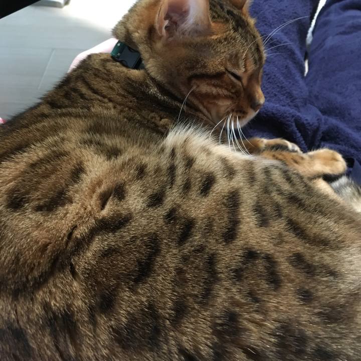 0938a01c 93ab 44f5 b5bd c7b1aa23fd0f