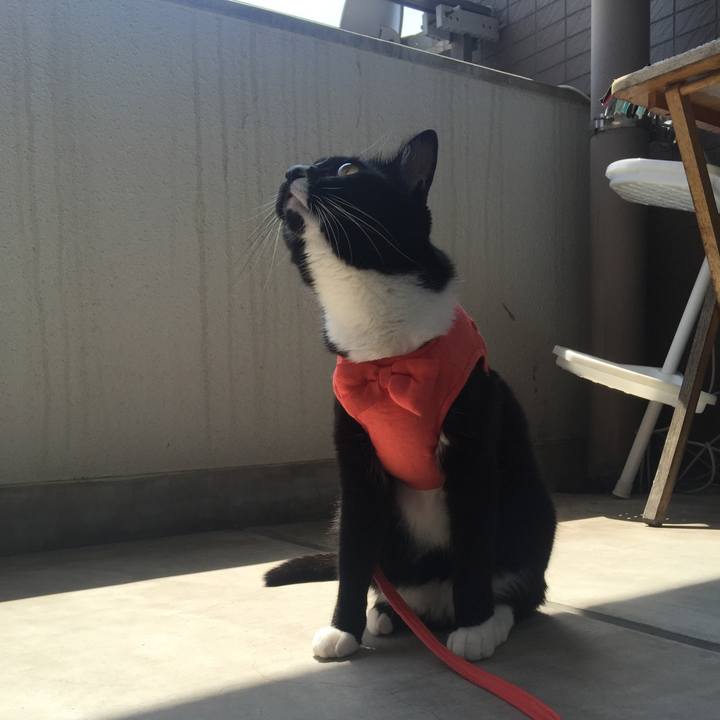 0938bc31 fc8a 426a 90af 54d90483c332