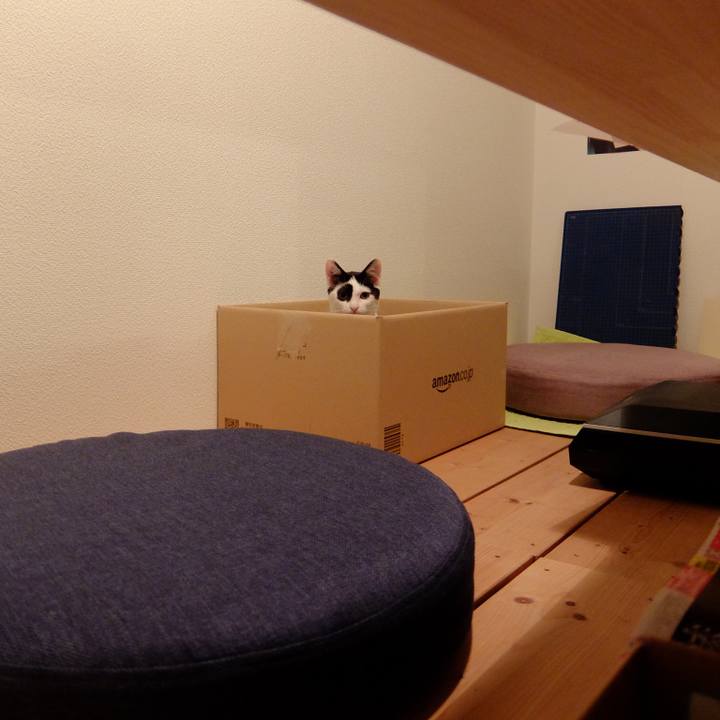 0938d93f 20e4 4c50 83fc bc50a2131fa3