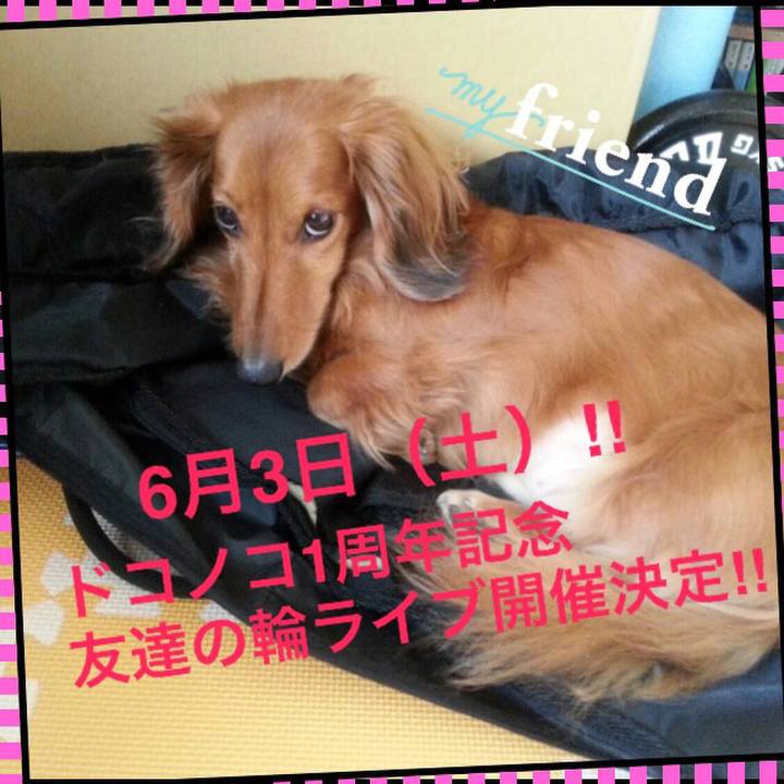 0939110d 8113 476b ac8c 98bd3fc28cfb