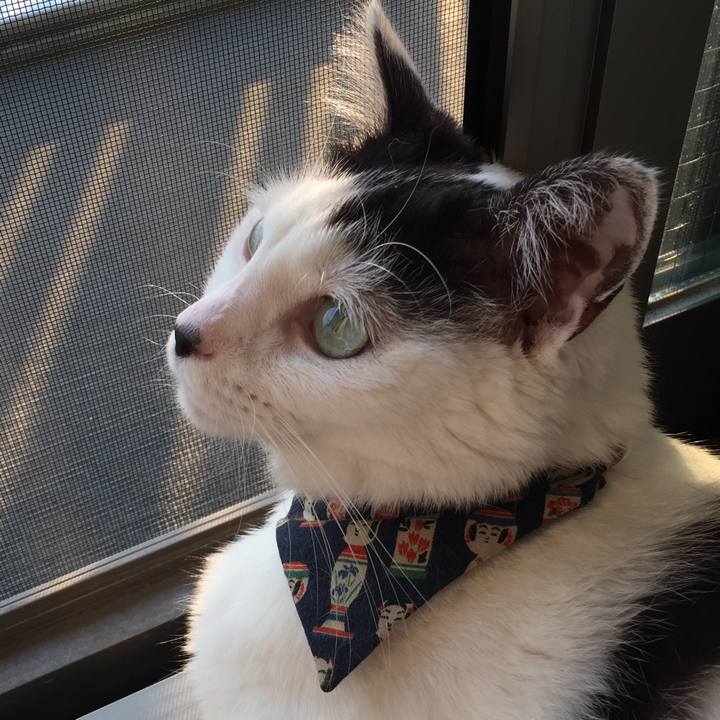 09397957 337a 465b a319 8ff359bd371d