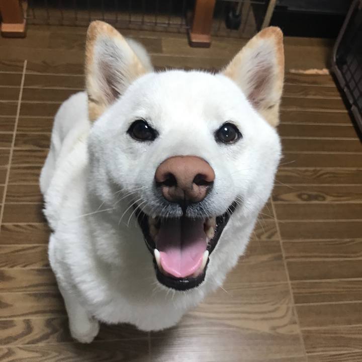 0939db01 86ec 4bcd b37a c3b281aeda53