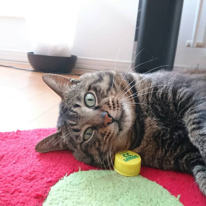 093bc142 e410 4b21 b7ed 38b7a447d892