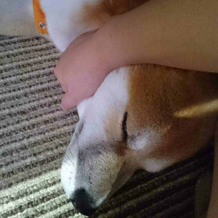 093bca30 ec3c 43f4 ac09 f8b3425c0f22