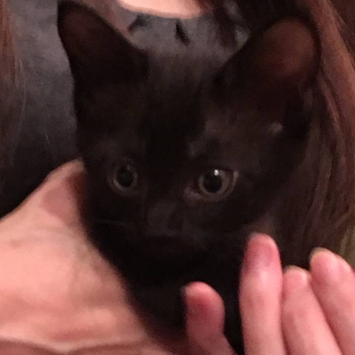 093c1d29 e646 4409 851f b04c9361cf60