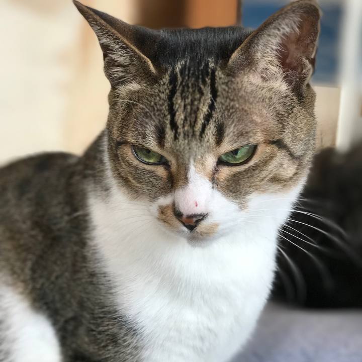 093c281b ebe0 4884 a166 a84593f6c54e