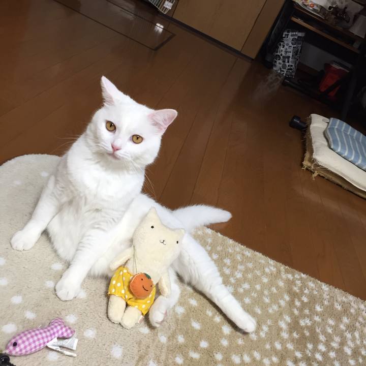 093c5725 7387 43aa 9c93 882b7b6a7dd0