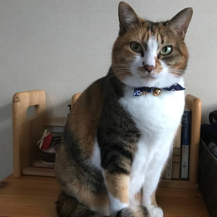 093d14f8 dabf 41f9 838f 35c50c2de1a2