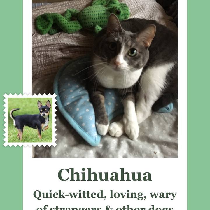 093d6c85 14af 4a03 876b 253c68a05fee