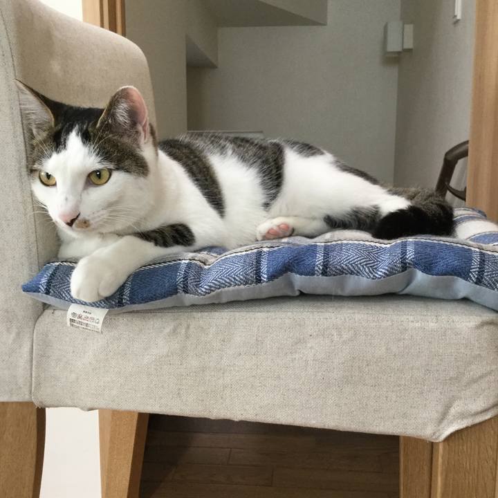 093df62c 4de9 431e 8f52 2c2d7fecbc03