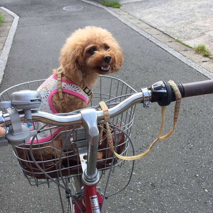 093dfeb7 64bc 4427 a3cd 32ace77061fa