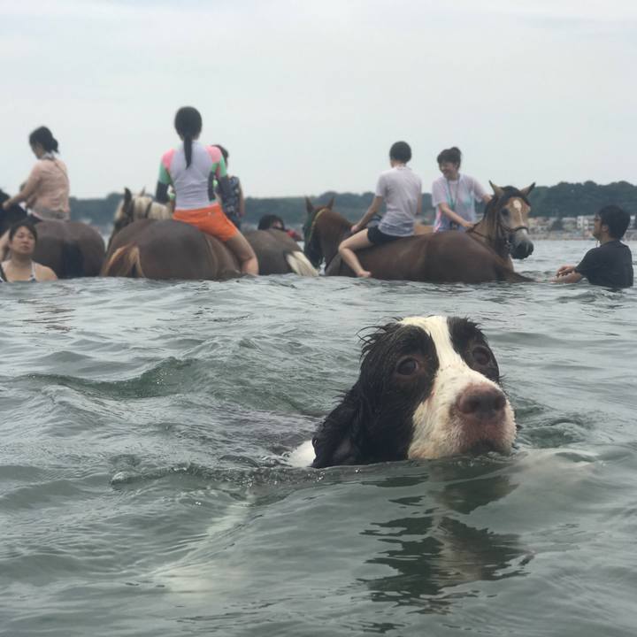 093e8716 d252 4a6f b5d5 96552c71cc2f