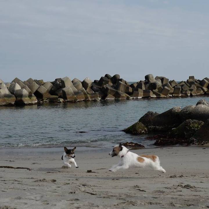 093eda81 7cdc 4c99 9a78 a29c2b474d01