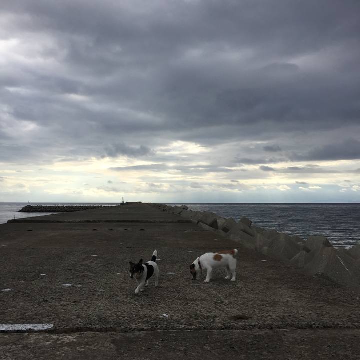 093fafe9 65d8 490c b1c0 5bfa7c6501c3