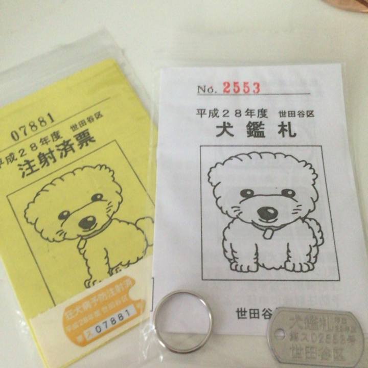 093fd2e9 32cb 4b73 b16b 6009307773ef