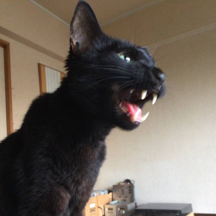 09401dd1 65b9 4b86 a6e6 1744652754ad