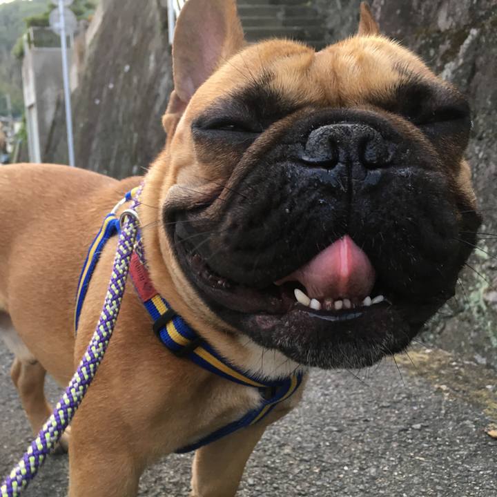 094039b9 4946 4183 9243 53a4ceb9a92e