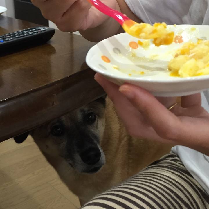 09412855 6836 4a26 a507 ad437da4d303