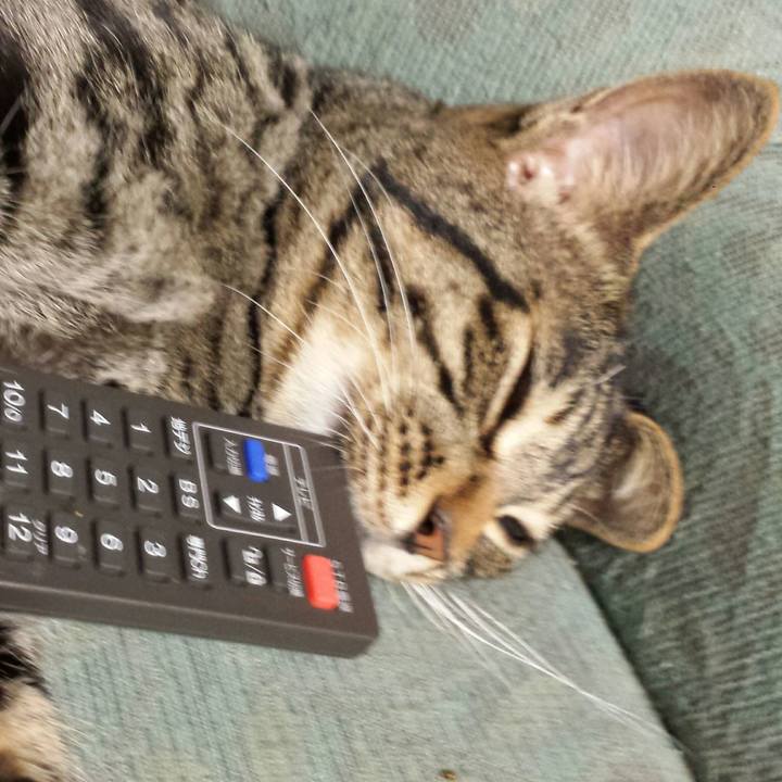 09419054 eb22 4084 a3b2 673549ebeb64