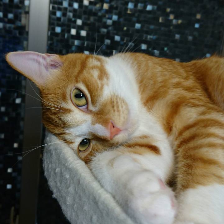 094221be 207e 43f2 8984 945e5b9b8507