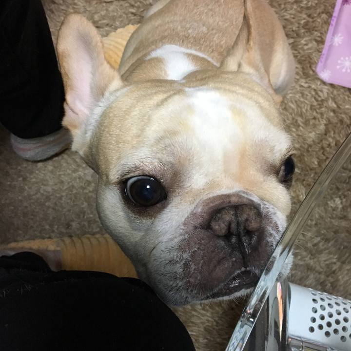 0943e926 c230 4cf8 a993 a975f77dd680