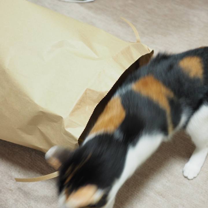 094436a7 4c1e 4c1e 8d16 9514f9fd80ca