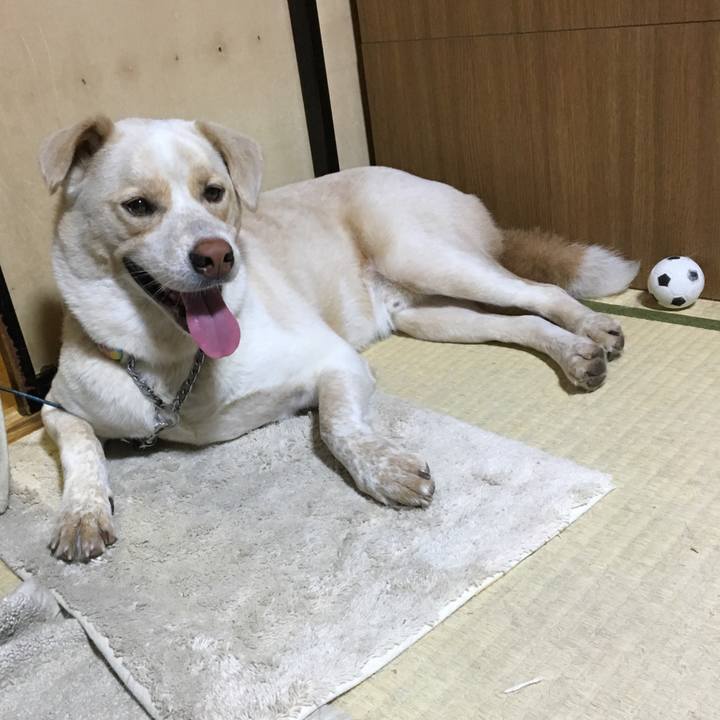 09444076 ad20 4da4 b77c 350fc37b3409