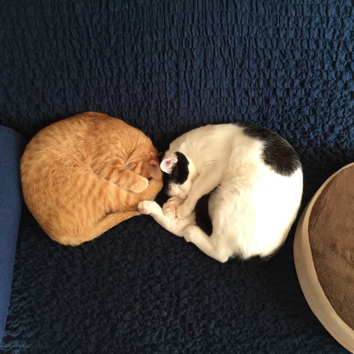 09446dd1 54b7 40c6 90ce f80fa96b1661