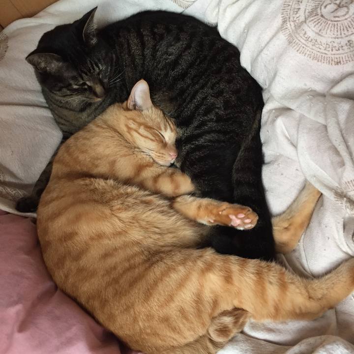 09447d18 3d24 4a77 8b43 e0784f37afef