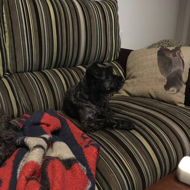 0944e575 4206 44b7 8e79 33cfc998e64d