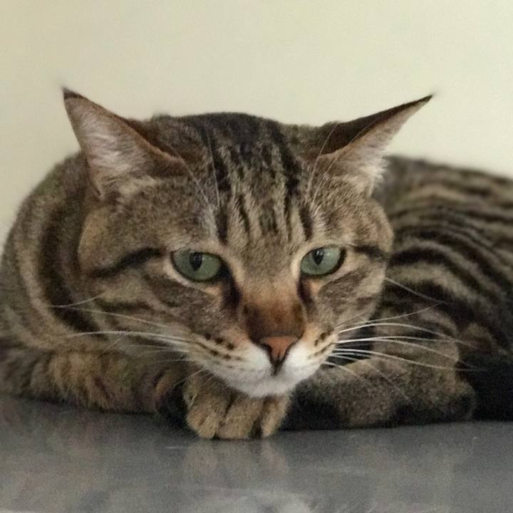 0945a5ad bb50 4a74 a901 8e3927f4da1b