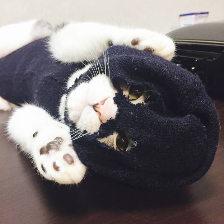 0946d293 237a 48a0 9c96 0a2b6411f2e4