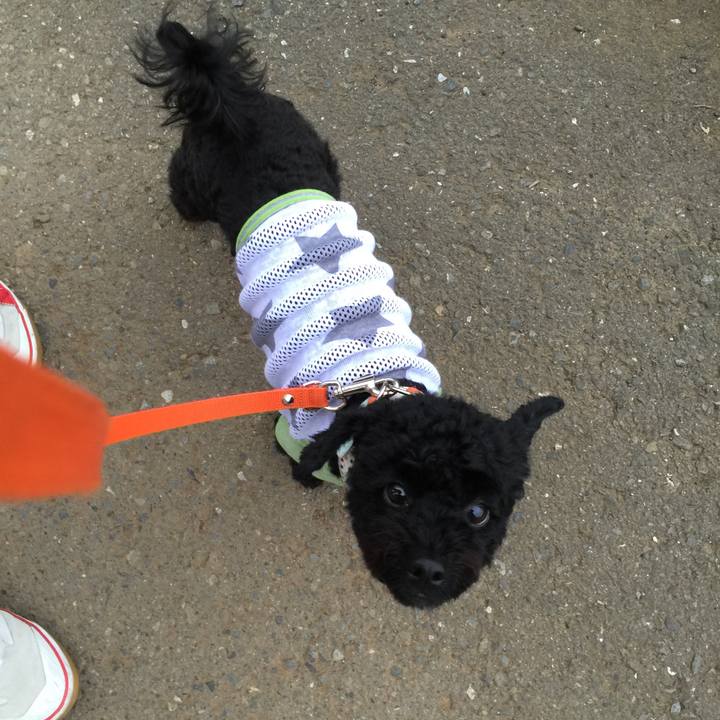 0946e060 deb6 4d0c 822e dfc3730d3bc1