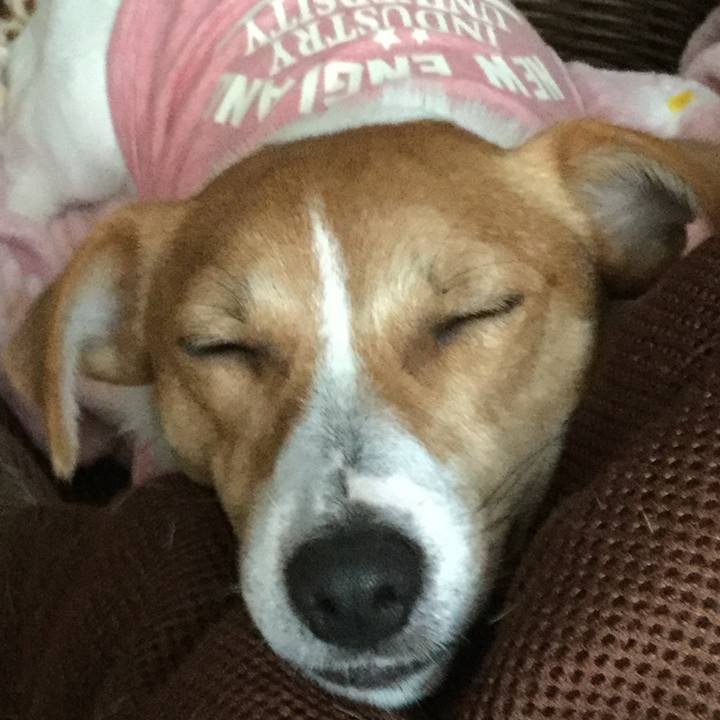 09472fdd b2ca 472b 9bb8 90c84d9def90