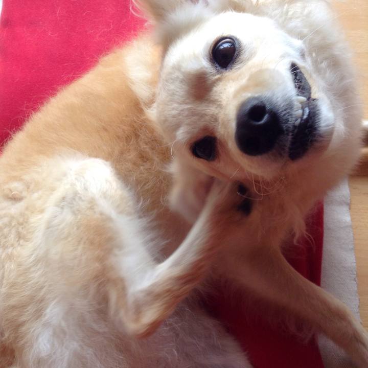 0947e62c 702d 4db9 8de2 64455a035944