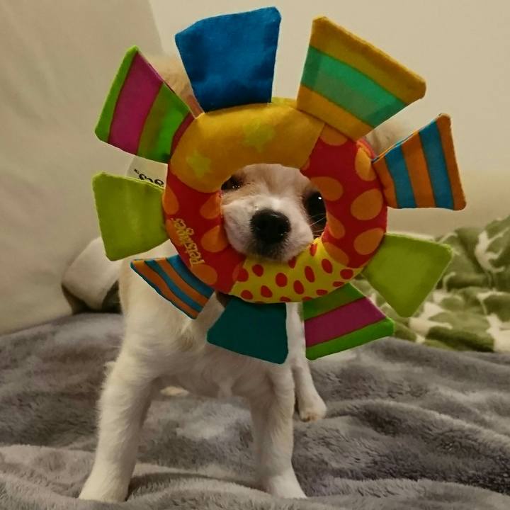 09487d91 3f72 4307 92ae 9de87991796d