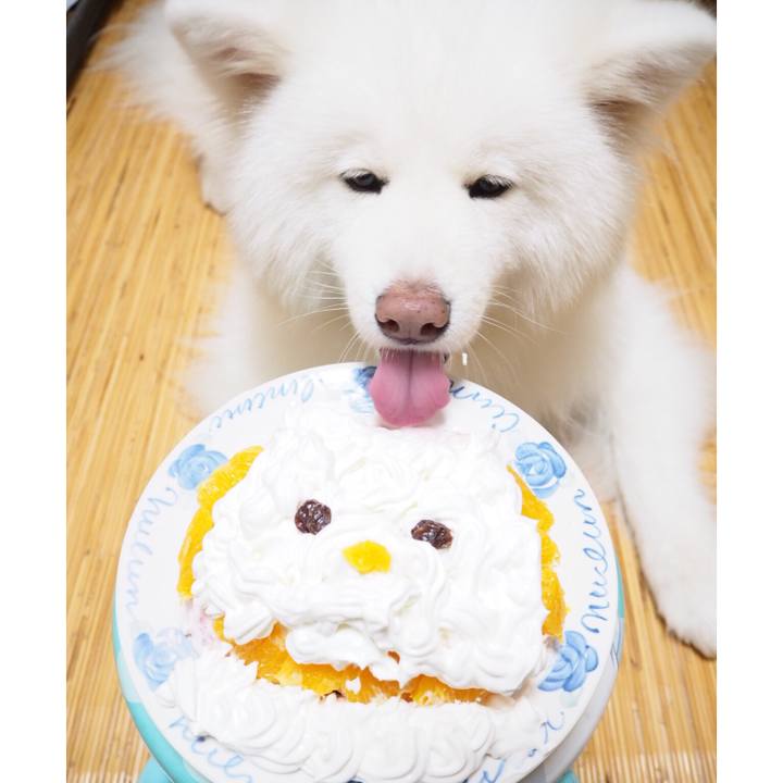 094a0866 3d14 4ac5 bea6 55502af554c1