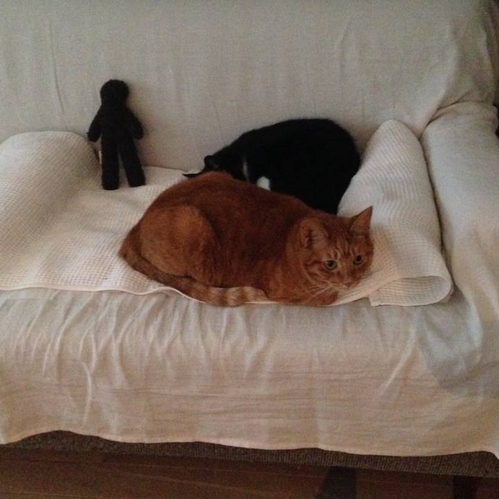 094a28c7 0073 44a6 ac10 fe7428d3e2d3