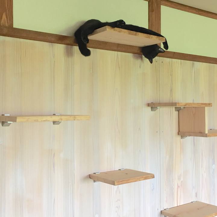 094a29eb 468a 4cf8 9178 bdc8b72147b6