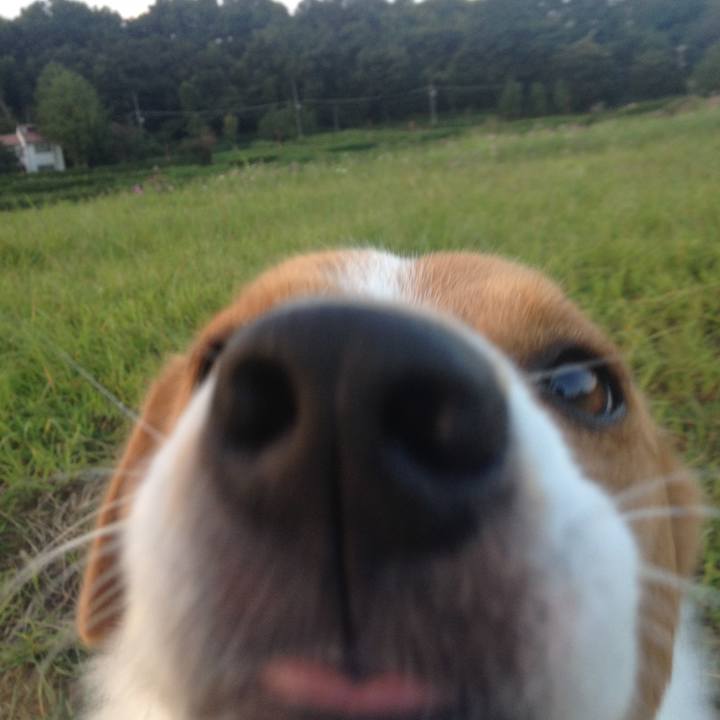 094a3b19 bed2 41b2 888c de73297bb4e1