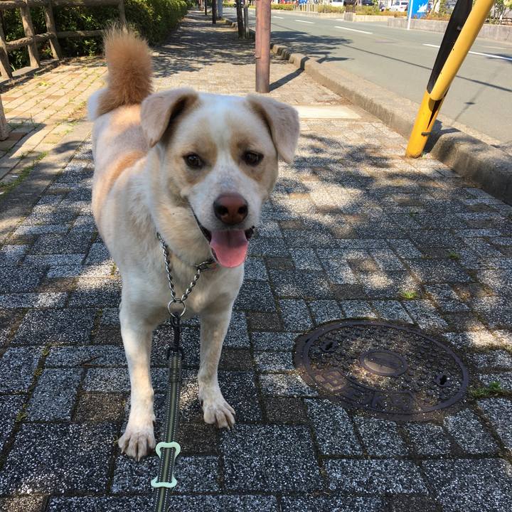 094a3b49 6ab1 4df0 9868 6bfe36f72a4c